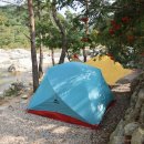 솔방울캠핑장 이미지