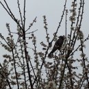 가족키즈펜션안덕 이미지