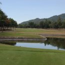 그린샷 골프클럽 이미지