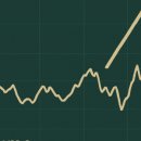 (주)아이오바이오 이미지