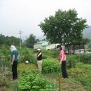 명숙농장 이미지