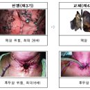 그림문구