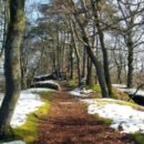 선텔 | 테 초록 선쿠션 무기자차 성분 효과 후기