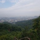 산새세탁 이미지