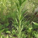 금옥농장 이미지