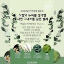 아영원 네이버블로그