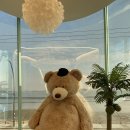 할리베어(HOLLY BEAR)