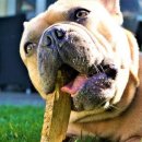 [야간]건강요가 이미지