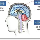 엔트로피Entropy – 엔트로피가 지배하는 자연 질서 - 道 이미지