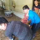 가교농산 이미지