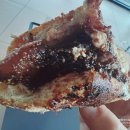 옥토끼목장 | 인천 강화도 대형카페, 힐링하기 좋은 편안하고 넓은 공간 두운리