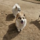 죽빵훈련소 이미지