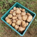 스펀지창의유치원 이미지