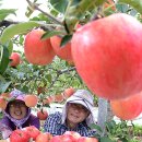 학림농장 이미지