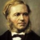 바이올린 (A) 이미지