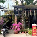 비치스파랜드 이미지