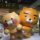 냥냥이네 | 못 담는 이야기&gt;심장 조심! 홍대에서 만난 라이언과 어피치 냥냥이 &#34;카카오프렌즈 냥냥특집&#34; 솔직 후기