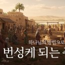 서초중앙로24길 55 이미지