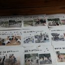 대지초등학교 이미지