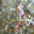 추억의 그림자 이미지