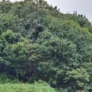 누교리 경로당 이미지