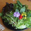 농업회사법인 (주)행복한농장 이미지