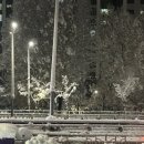 데굴데굴 이미지