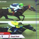 통산2목장 이미지