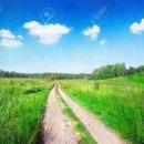 스위스보청기 이미지