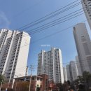 푸른공인중개사사무소 이미지