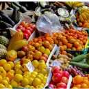 온누리중앙약국 이미지