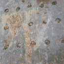 우리봄이네 이미지