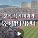 세일러스 고등어 연구소
