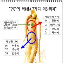 303회차 기도를 앞두고 평생 소유하게 되는 재물복이 생성되고 분배된 이유.. 이미지