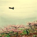 바람소리새소리 이미지