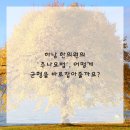 편안몸한의원 이미지