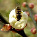 오수정사 이미지