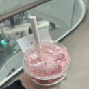 제티상점 이미지