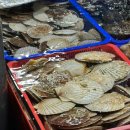 별하한옥펜션 이미지