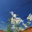 인촌경로당 이미지