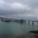 정남진 해양낚시공원 이미지