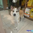 투투 동물병원 이미지