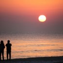 번개목장 이미지