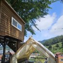 천대국치길 이미지