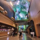 돌고래리조트 이미지