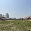 세솔공원 화장실 이미지