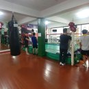 중화 권투체육관 이미지