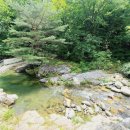 포시즌밸리계곡애견펜션 이미지