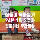[쌍둥이 육아일기] 1월 둘째주 린둥이네 주간 일기