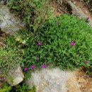 김천화장장 이미지